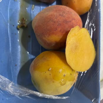 Getir Siparişimde Çürük Ve Kurtlu Meyve Sebze Teslim Edildi