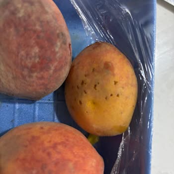 Getir Siparişimde Çürük Ve Kurtlu Meyve Sebze Teslim Edildi