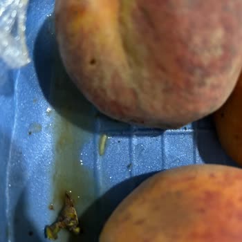 Getir Siparişimde Çürük Ve Kurtlu Meyve Sebze Teslim Edildi