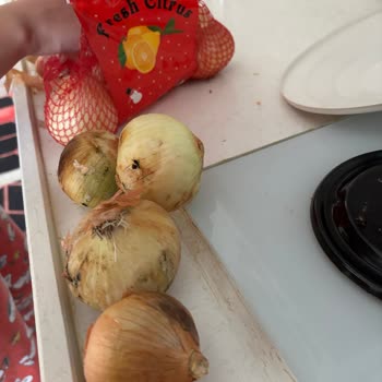 Getir Siparişimde Çürük Ve Kurtlu Meyve Sebze Teslim Edildi