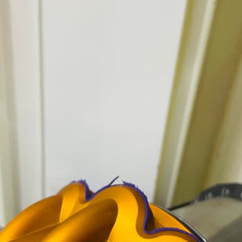 Garanti Kapsamında Bakım Ücreti Ve Servis Sorunu