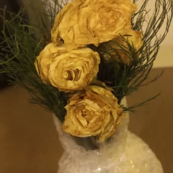 Siparişim Geç Ve Beklenenden Farklı Teslim Edildi, İade Ve Satıcı Bilgisi Talep Ediyorum