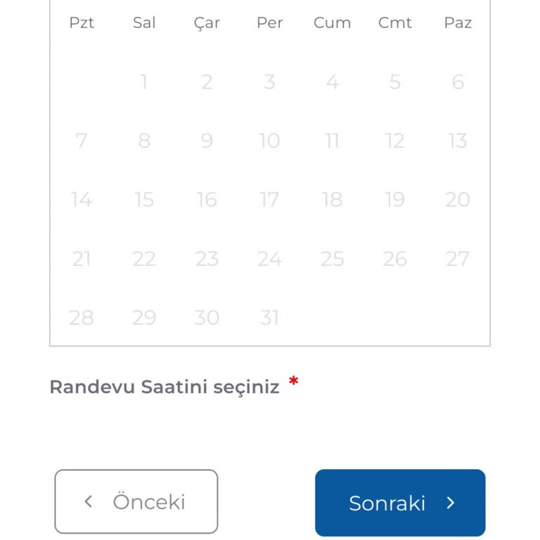 Vize Randevu Sistemi Ödeme Aşamasında Sürekli İptal Oluyor