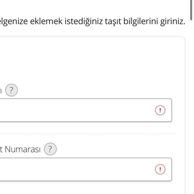 P1 Başvurusu Sırasında Sürekli Aynı Hata İle Karşılaşıyorum