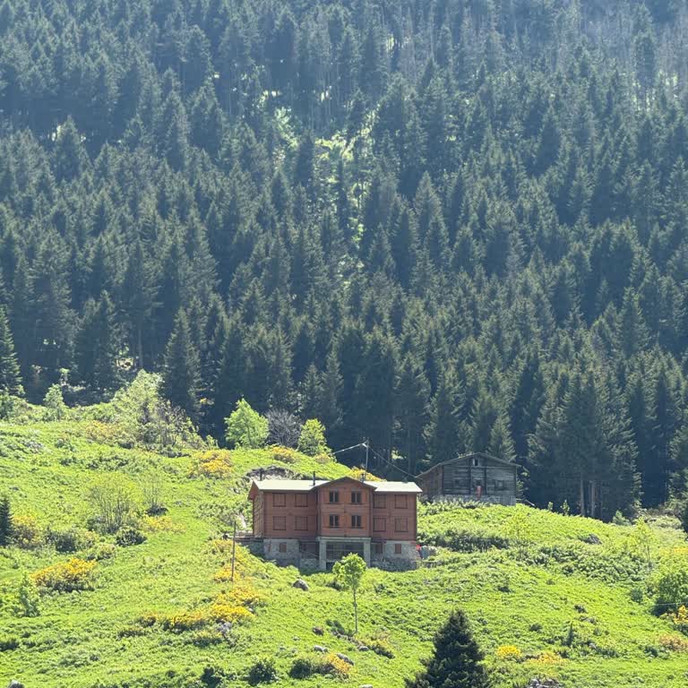 Tur Şirketi İle Beklentilerin Altında Kalan Kayseri Gezisi Deneyimi