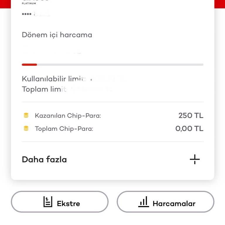 Chip Para İadesi Kesintisinin Nedeni Açıklanamıyor Müşteri Hizmetleri De Çözüm Sunamıyor