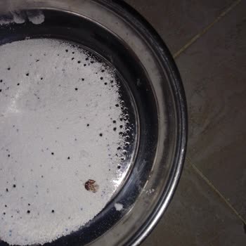 Bingo Aldığım Deterjanda Böcek Parçalarıyla Karşılaştım