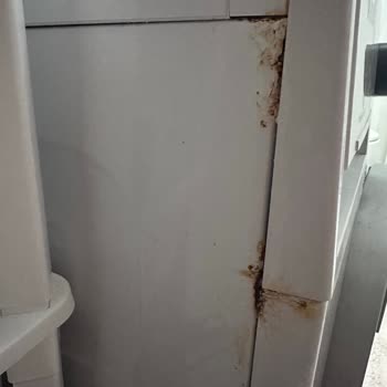 Arçelik Çamaşır Makinemde Paslanma Sorunu Ve Mağduriyet