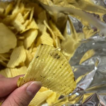 Aldığım Cipsin İçinden Böcek Çıktı, Sağlığımız Tehlikede