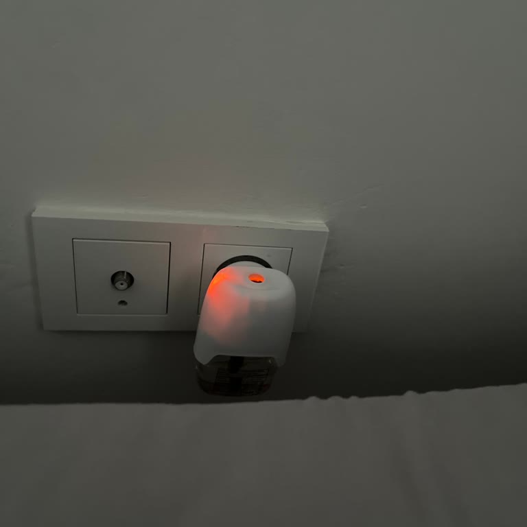 Raid Elektro Likit Sivrisineklere Karşı Etkisiz Kaldı