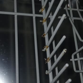 Miele 4203 Bulaşık Makinesi Sepetlerinde Paslanma Ve Yüksek Yedek Parça Fiyatı