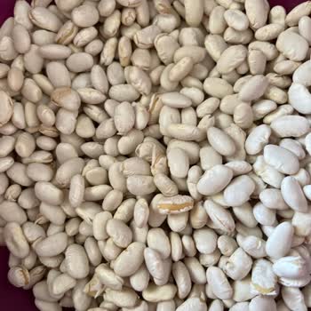 BİM'den Aldığım Kuru Fasulyeler Sürekli Kabuk Atıyor