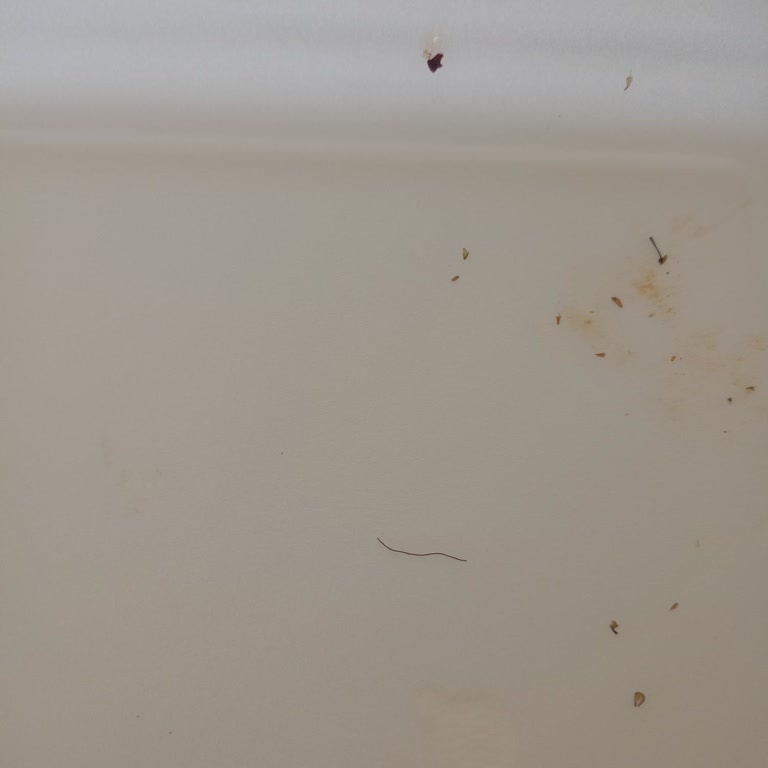 Yemeksepeti'nde Canlı Destek Sorunu Ve Müşteri Mağduriyeti