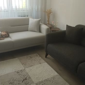 Yanlış Renk Koltuk Teslimatı Ve İlgisizlik