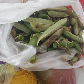 Migros Sanal Market'ten Çürük Bezelye Gönderildi, Mağdur Edildim