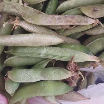 Migros Sanal Market'ten Çürük Bezelye Gönderildi, Mağdur Edildim