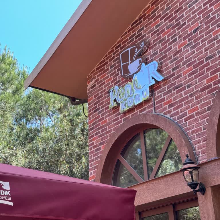 Pendik Belediyesi Evcil Hayvanımın Sosyal Tesise Alınmaması Nedeniyle Yaşadığım Hayal Kırıklığı