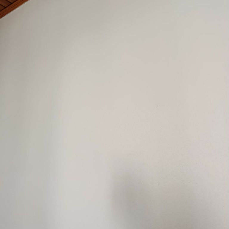 Lüle Taşı Boyada Kapatıcılık Sorunu Ve Yorucu Uygulama Deneyimi