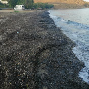 Çukurbük Plajında Temizlik Ve Donanım Eksikliği