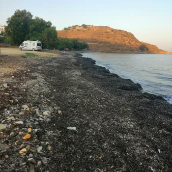 Çukurbük Plajında Temizlik Ve Donanım Eksikliği