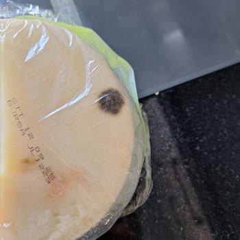 Son Kullanma Tarihi Geçmemiş Sütaş Kaşar Peynirinin Küflenmesi