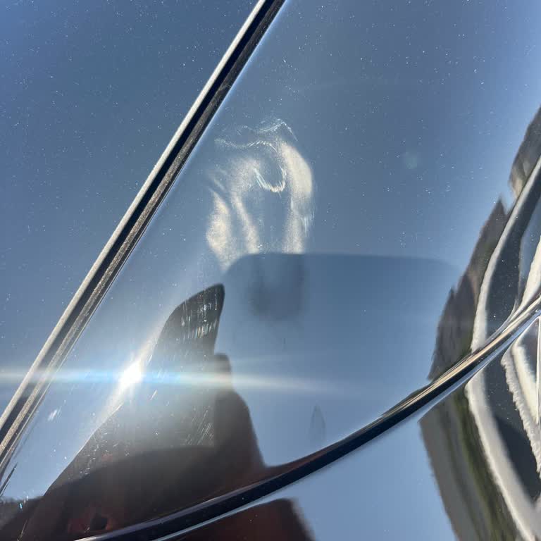 Tesla Model Y Boya Hasarı Ve Servis Randevusu Sorunu