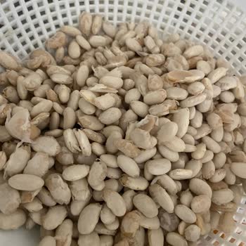 Migros'tan Aldığım Dermason Kuru Fasulye Dağıldı Ve Kalitesiz Çıktı