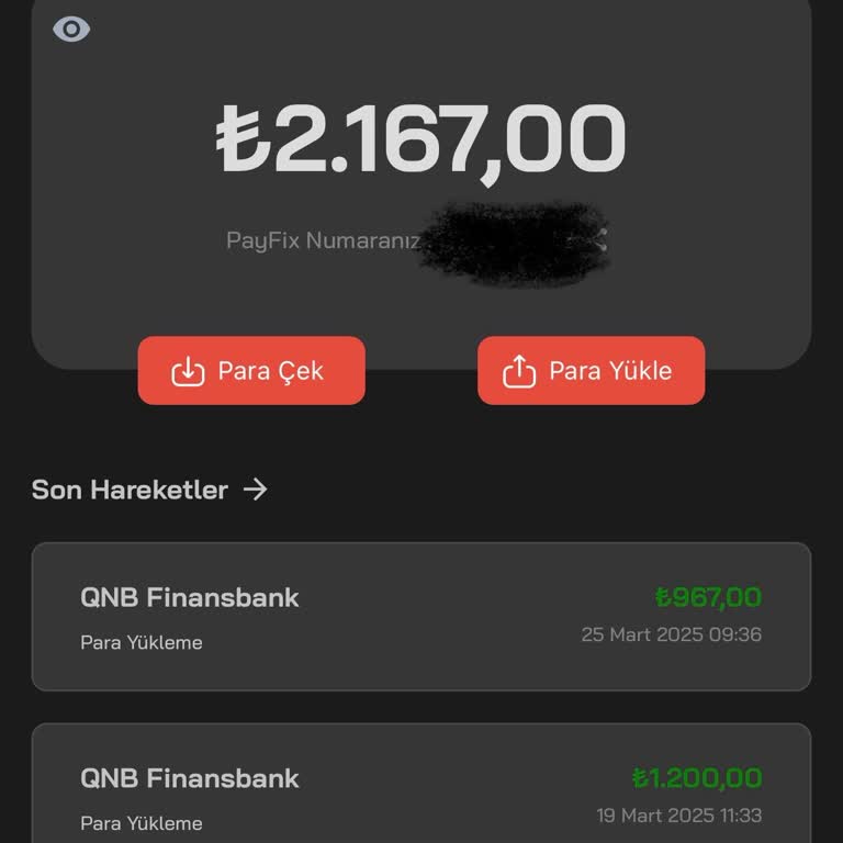 Payfix'te Uzayan Bekleyiş: Mağduriyetler Ne Zaman Son Bulacak?