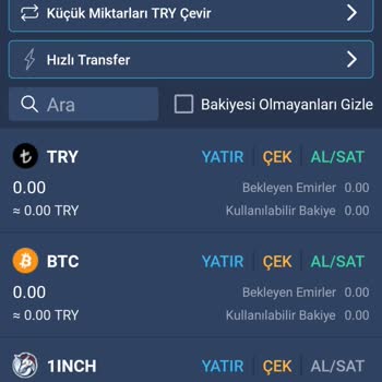 Bitexen Hesabımdaki Bakiye Sebepsizce Sıfırlandı!