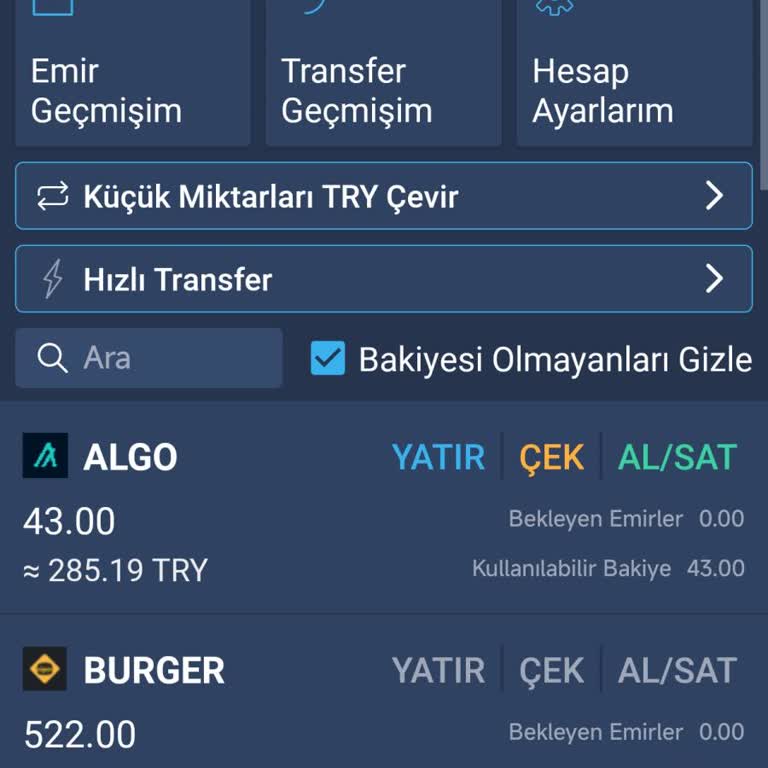Uygulama Erişim Sorunu Ve Hesap Bakiyesi Kaybı