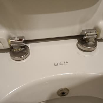 Klozet Kapağı Sürekli Çıkıyor, Yedek Parça Bulamıyorum