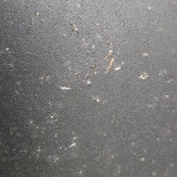 Schafer Tenceremde Kısa Sürede Soyulma Ve Kabarma Yaşadım Servis Yardımcı Olmadı