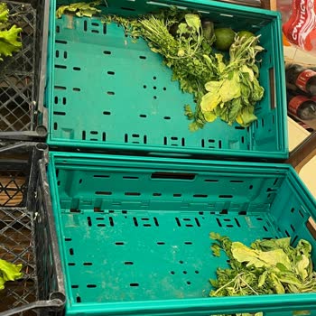 Şok Marketler Sebze Reyonunun Kötü Durumu Ve Personel İlgisizliği