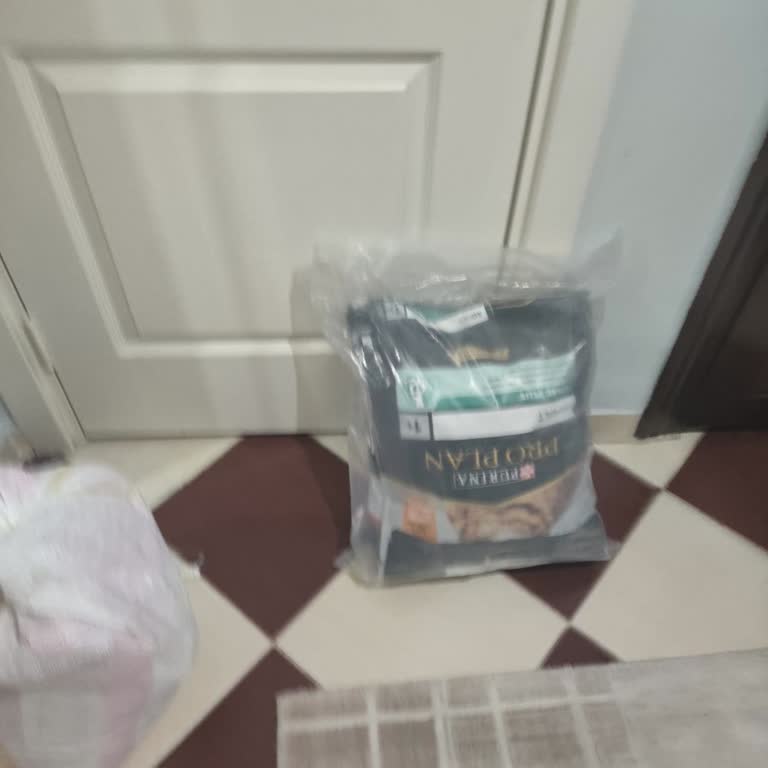 Siparişim 10 Günde Teslim Edildi, Kedilerim Mağdur Oldu!