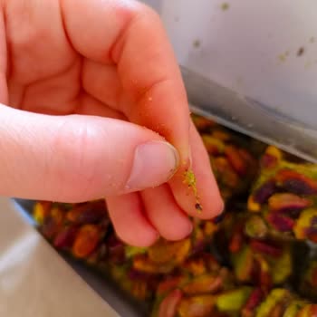 Musko Erciyes Aldığım Lokumun Kurtlu Çıkması Hayal Kırıklığı Yarattı