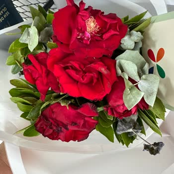 Solmuş Ve Hasarlı Güller Nedeniyle Hayal Kırıklığı Yaşadım