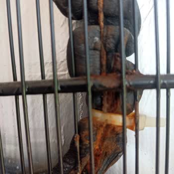 Arçelik Derin Dondurucuda 3 Yılda Oluşan Üretim Hatası Ve Yüksek Tamir Ücreti