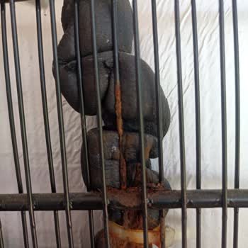 Arçelik Derin Dondurucuda 3 Yılda Oluşan Üretim Hatası Ve Yüksek Tamir Ücreti