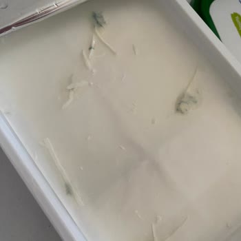 Süzme Peynirde Küf ve İade Sorunu