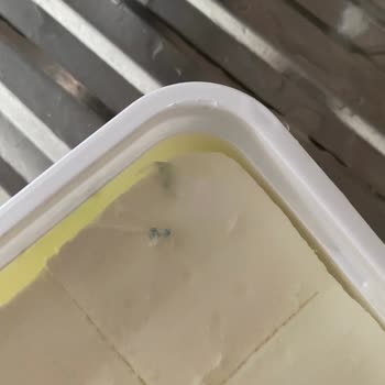 Süzme Peynirde Küf ve İade Sorunu