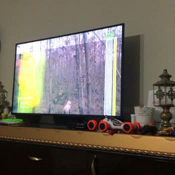 8 Aylık LG TVde Panel Arızası Ve Yetersiz Çözüm