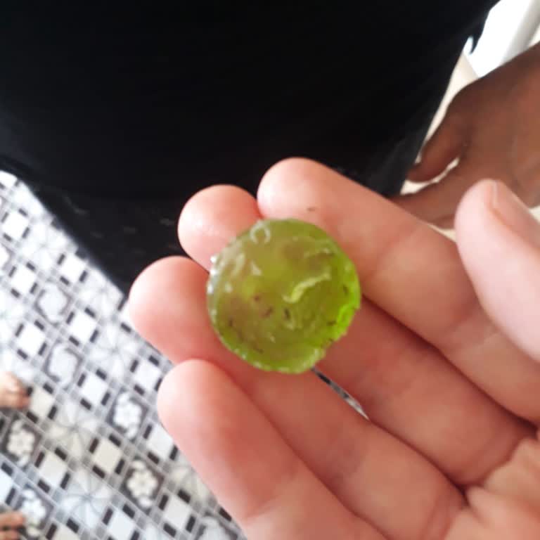 Ülker Bonbon Şekerden Karınca Çıkmasıyla Yaşanan Hijyen Sorunu