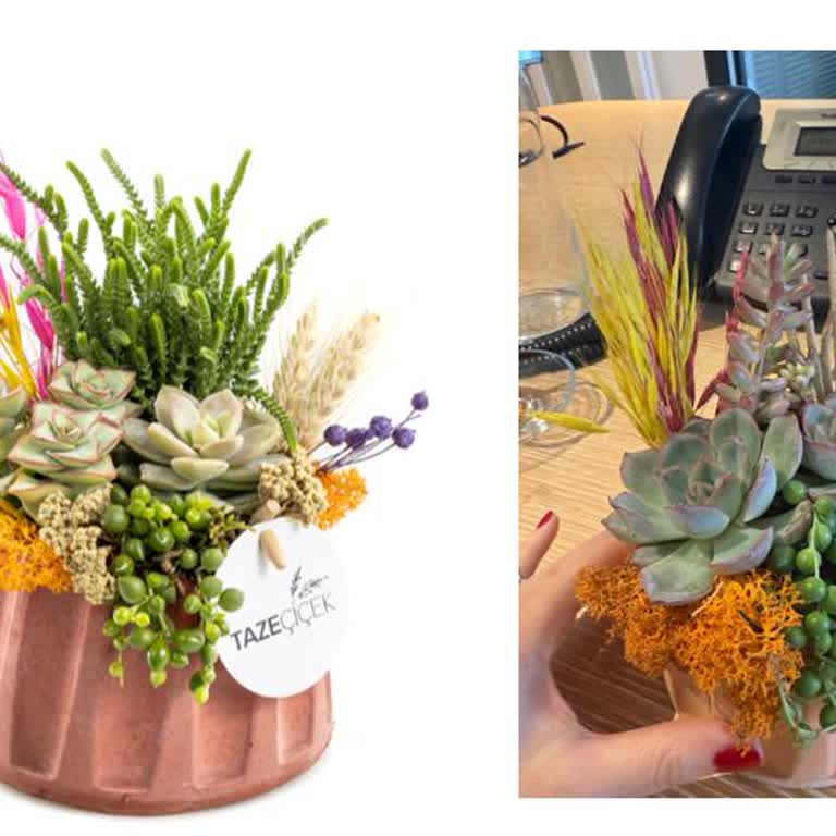 Hayal Kırıklığı Yaratan Teraryum Ve Yetersiz Müşteri Hizmeti