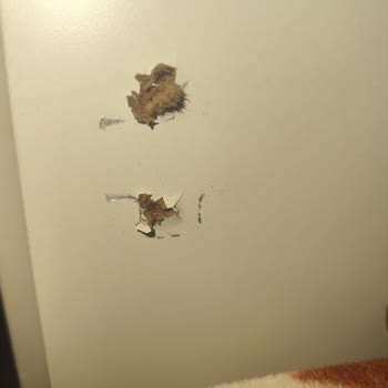 Yatak Odası Takımında Dolap Kapağı Sorunu Ve Mağduriyet