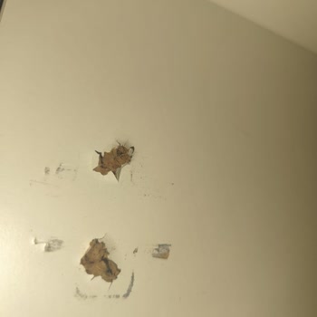 Yatak Odası Takımında Dolap Kapağı Sorunu Ve Mağduriyet