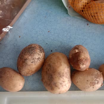 Getir Gönderilen Sebzeler Taze Değil, Kalite Beklentimin Çok Altında