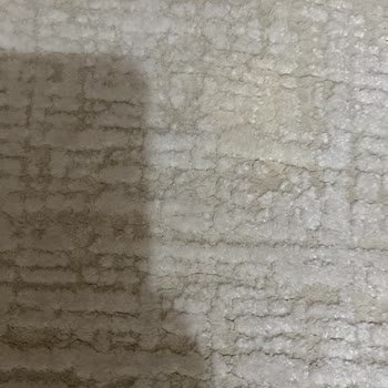 Gül Kar Halı Yıkama Halılarımı Kirli Ve Leke İçinde Teslim Etti, İletişimi Kesti