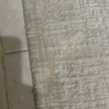 Gül Kar Halı Yıkama Halılarımı Kirli Ve Leke İçinde Teslim Etti, İletişimi Kesti