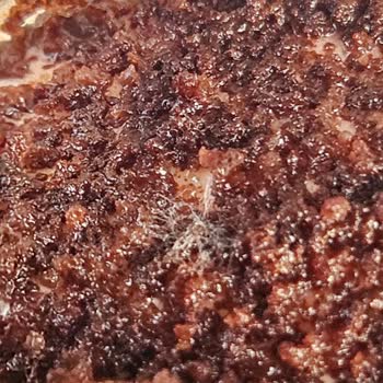 By Şekerci'den Aldığım Tiramisu Küflü Çıktı