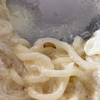 Aldığım Noodle İçinden Kurt Çıktı: İnsan Sağlığı Tehlikede